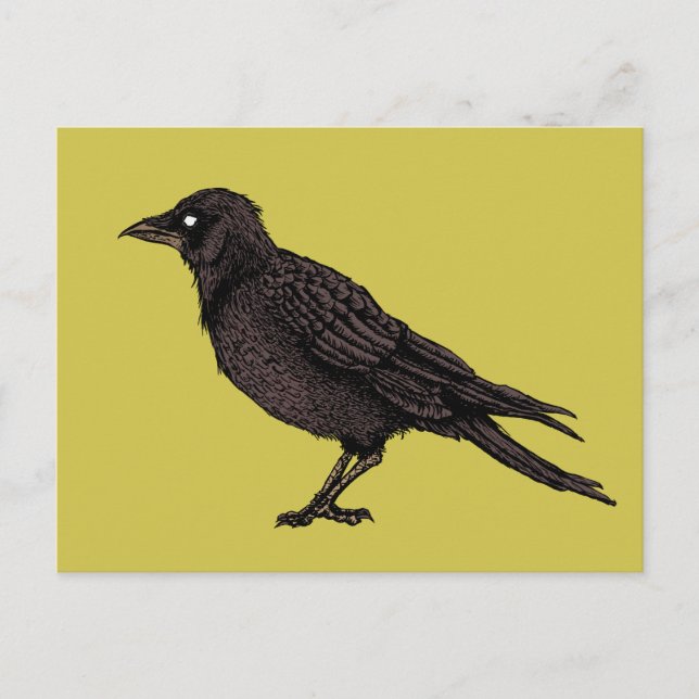 Raven Creepy Kråka Bright Gothic Bläck Art Vykort (Framsida)