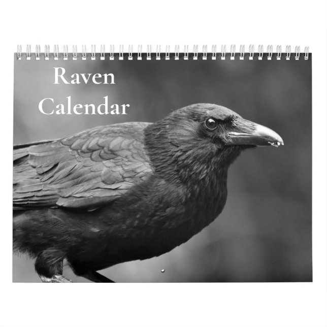 Raven Crow Kalender 2027 (Omslag)