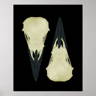 Raven Döskallars Poster