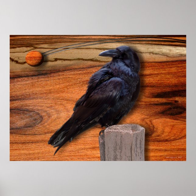 RAVEN ECLIPSE POSTER (Framsidan)