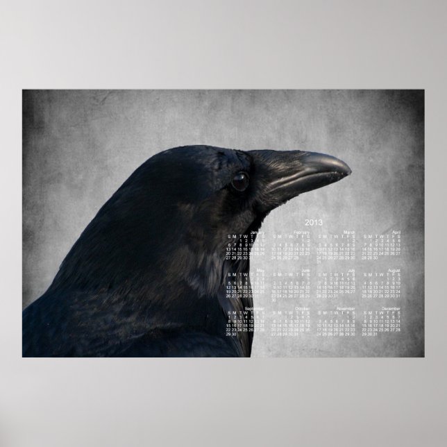 Raven Glamor Shot, 2013 års kalender Poster (Framsidan)