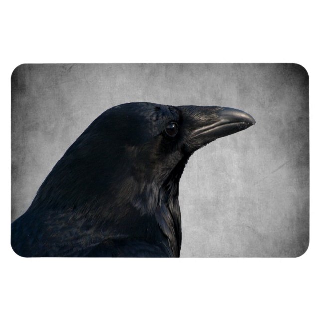 Raven Glamor Shot Magnet (Horisontell)