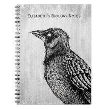 Raven Gothic Black White Horror Bläck Teckning Nam