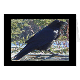 Raven Hälsningskort