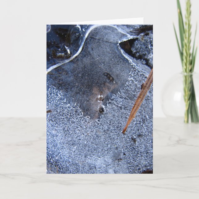 Raven Höger, Black Corvid Stories in Nature Kort (Framsida)