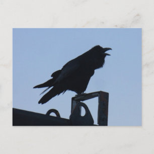 Raven i Silhouette, Unalaska Island Vykort