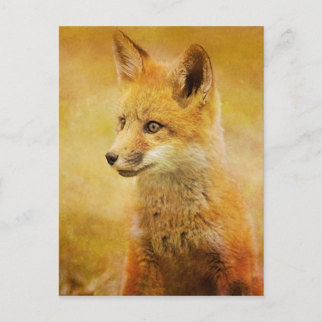 Räven i skogen vykort (Framsida)