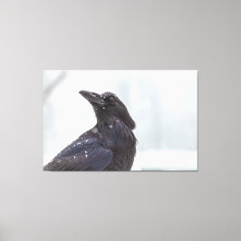 Raven i Snö Canvastryck