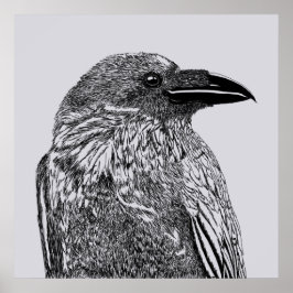 Raven Illustration Poster