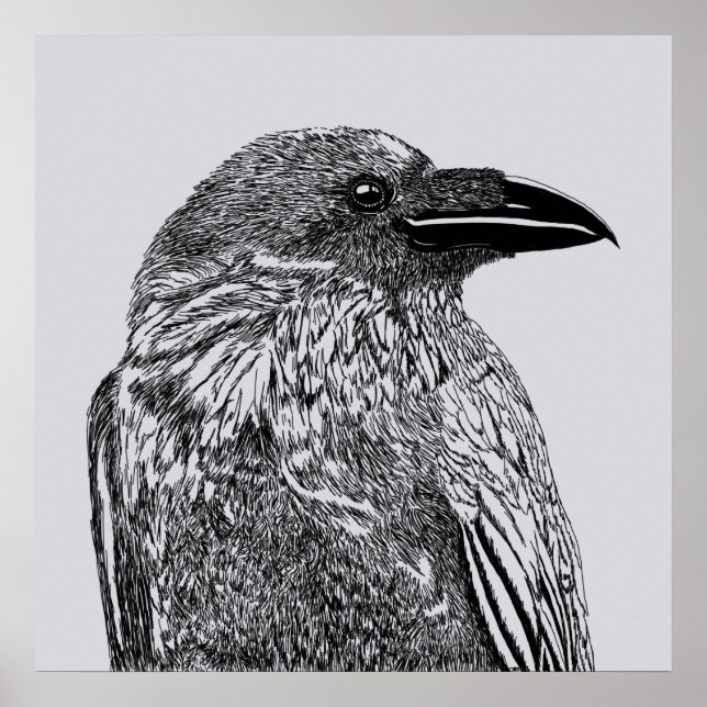 Raven Illustration Poster (Framsidan)