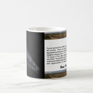 Raven Kaffemugg