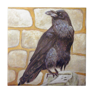 Raven Kakelplatta