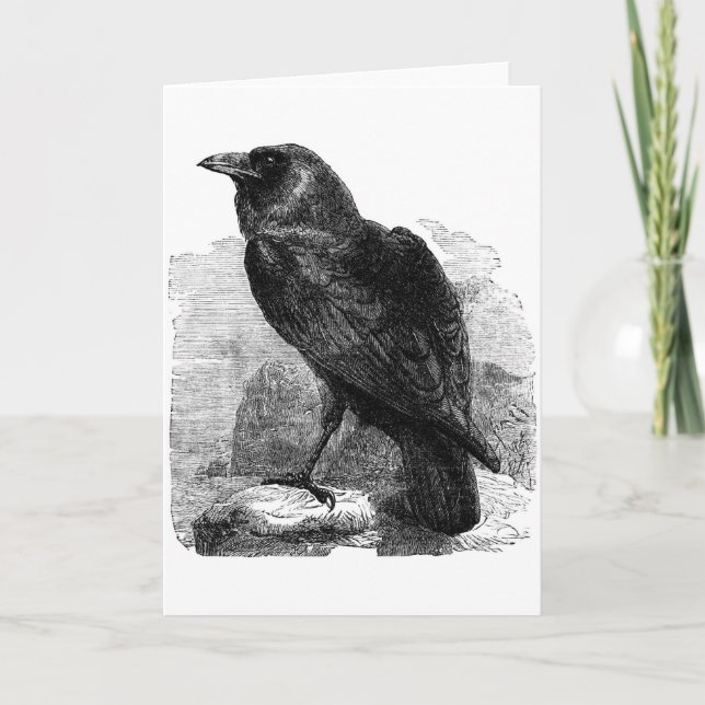 Raven Kort (Framsida)