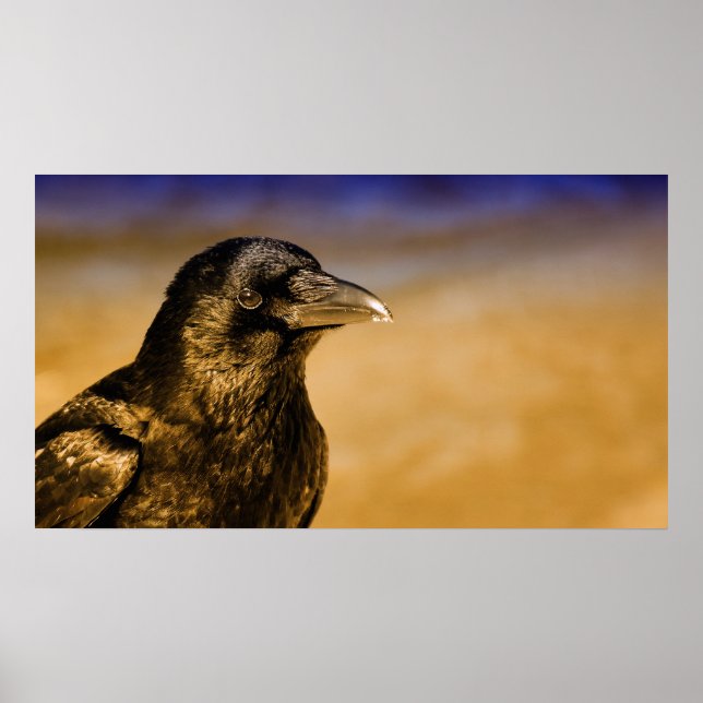 Raven Kråka Gothic Fantasy Black Bird Nature Poster (Framsidan)