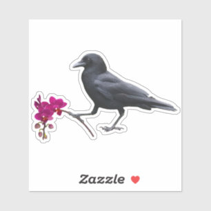 Raven Kung Sticker Klistermärken