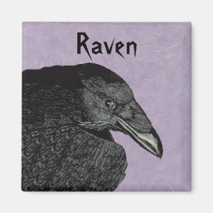 Raven Magnet