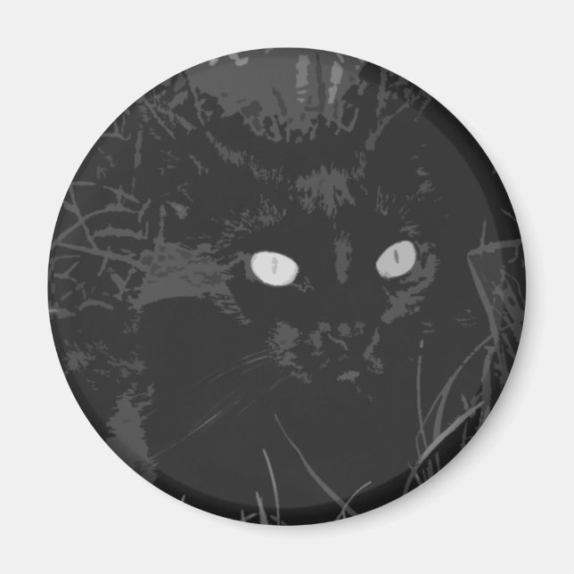 raven magnet (Framsidan)