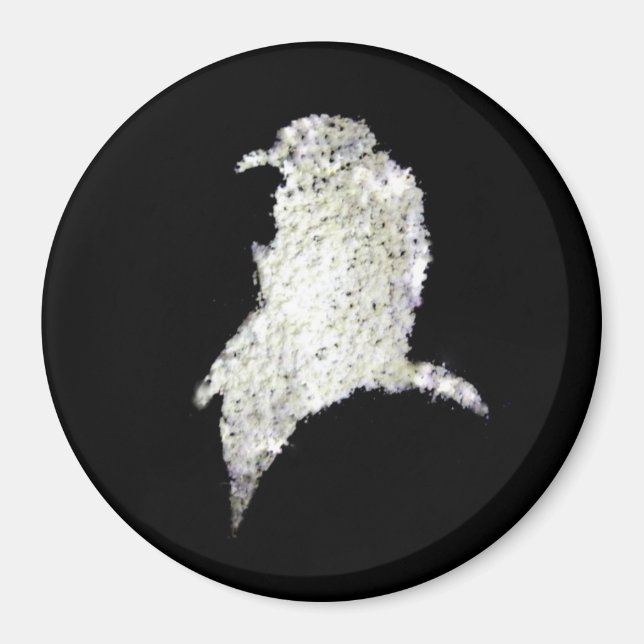 Raven Magnet (Framsidan)