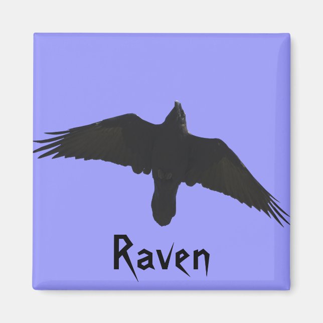 Raven Magnets Magnet (Framsidan)