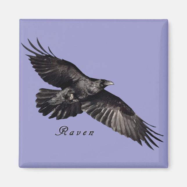 Raven Magnets Magnet (Framsidan)