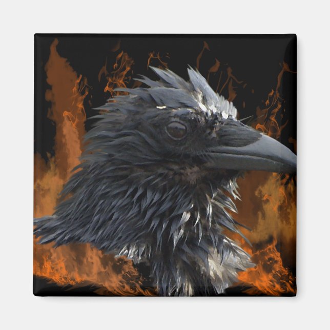 Raven Magnets Magnet (Framsidan)