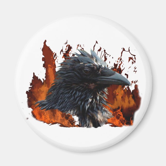 Raven Magnets Magnet (Framsidan)