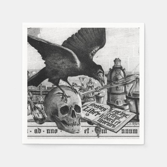 Raven och Human Skull Pappersservett (Framsidan)