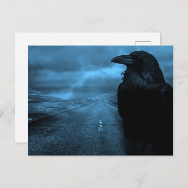 Raven on Road Vykort (Fram/baksida)