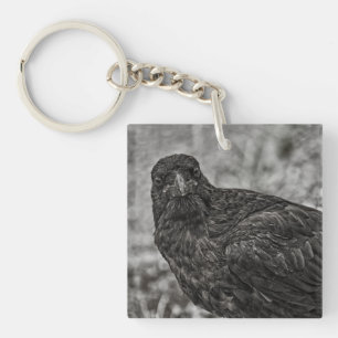 Raven P9239