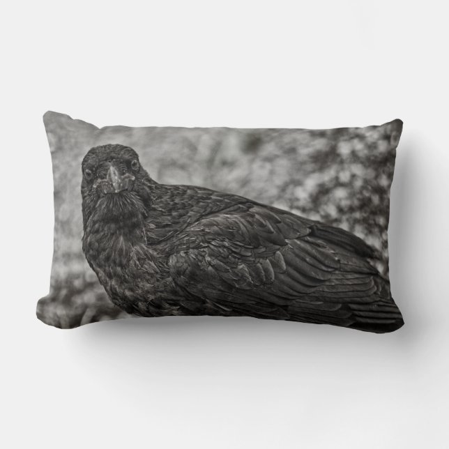Raven P9239 Lumbarkudde (Framsida)