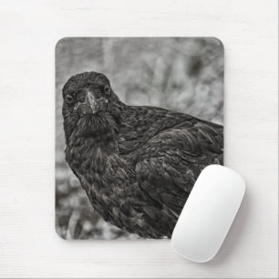 Raven P9239 Musmatta