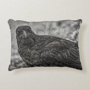 Raven P9239 Prydnadskudde