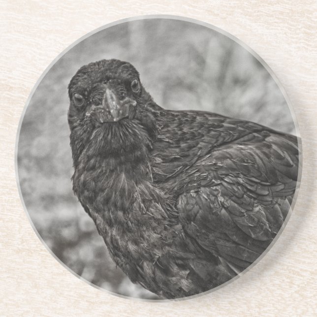 Raven P9239 Underlägg (Framsidan)