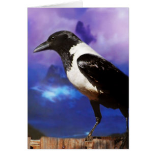 Raven på ett staket hälsningskort