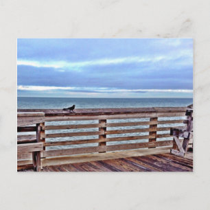 Raven på Jennettes pier obx North Carolina Vykort