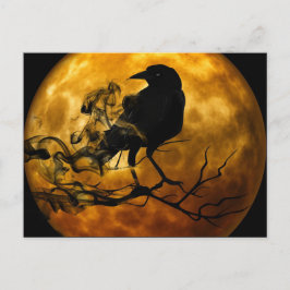 Raven på natten vykort