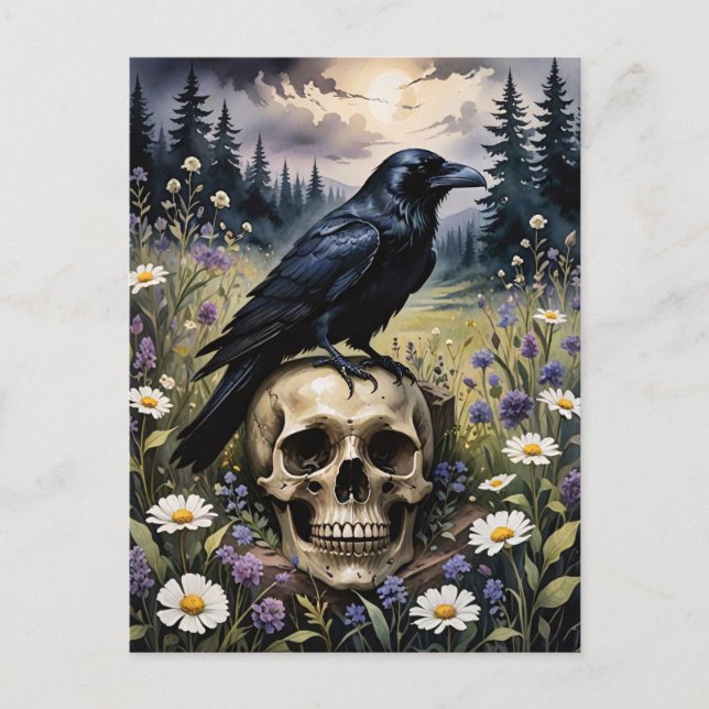 Raven på Skull Vykort (Framsida)