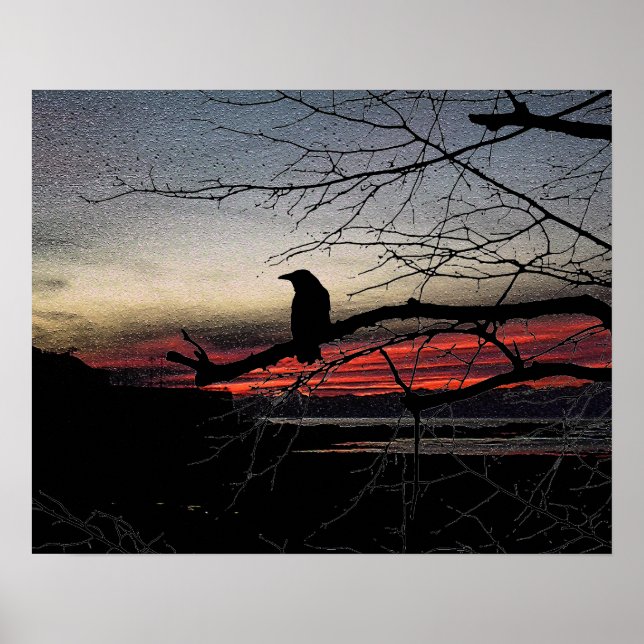 Raven på Träd vid Sunset Poster (Framsidan)