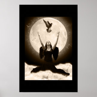 Raven Poster