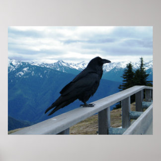 Raven Poster
