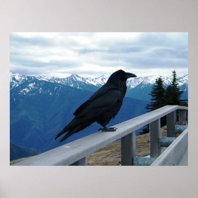 Raven Poster (Framsidan)