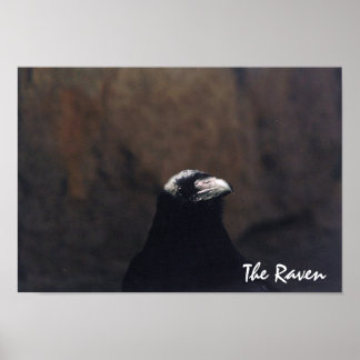 Raven Poster