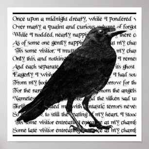 Raven Poster