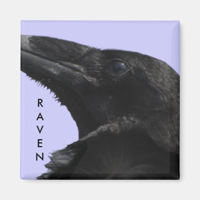 Raven Profile Magnet (Framsidan)