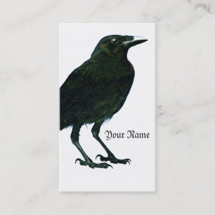 Raven-profilkort Visitkort