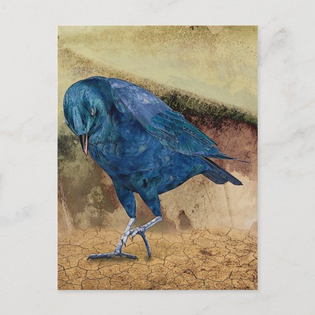 Raven ringer mig! vykort (Framsida)