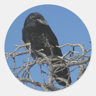 Raven Runt Klistermärke