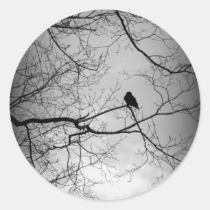 Raven Runt Klistermärke