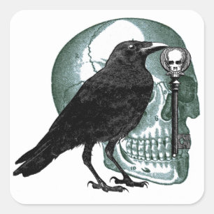 Raven Skull Skeleton Nyckel Fyrkantigt Klistermärke