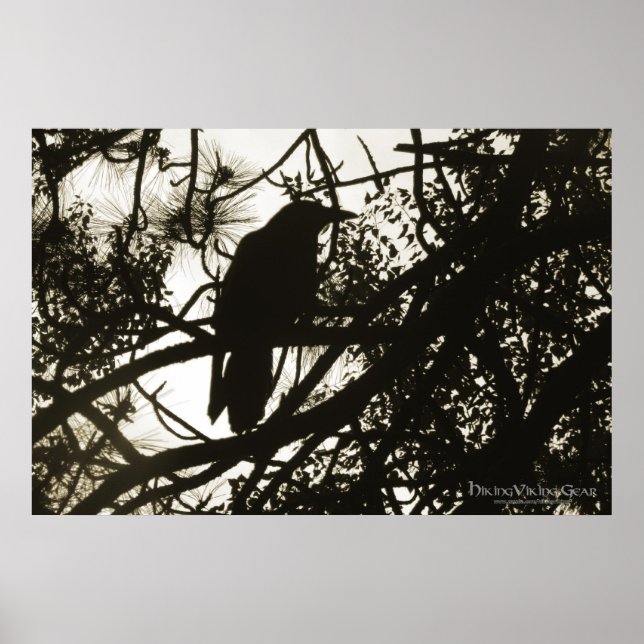 Raven Steampunk Poster (Framsidan)